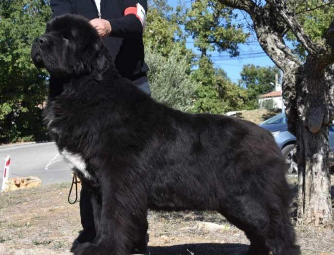 ONE OF LEGENDS DE L'ILLIADE DE L'ODYSSEE De l'illiade et l'odyssee